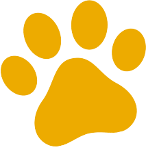 Nowy projekt - 2025-11-27T133339.419.png