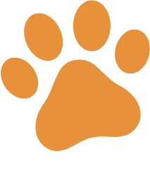 Nowy projekt - 2025-11-27T131816.844 (2).png