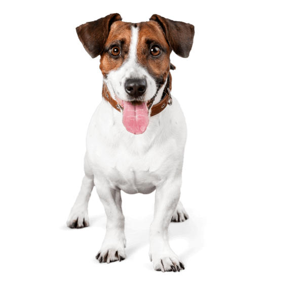 Nowy projekt - 2025-12-01T150635.695.png